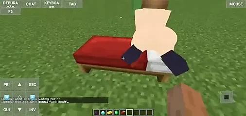 yCokkixyz ensina a tranzar no minecraft