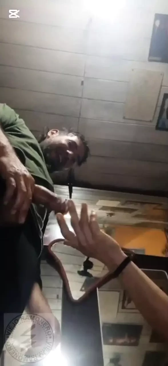 Trio of amateur amigos