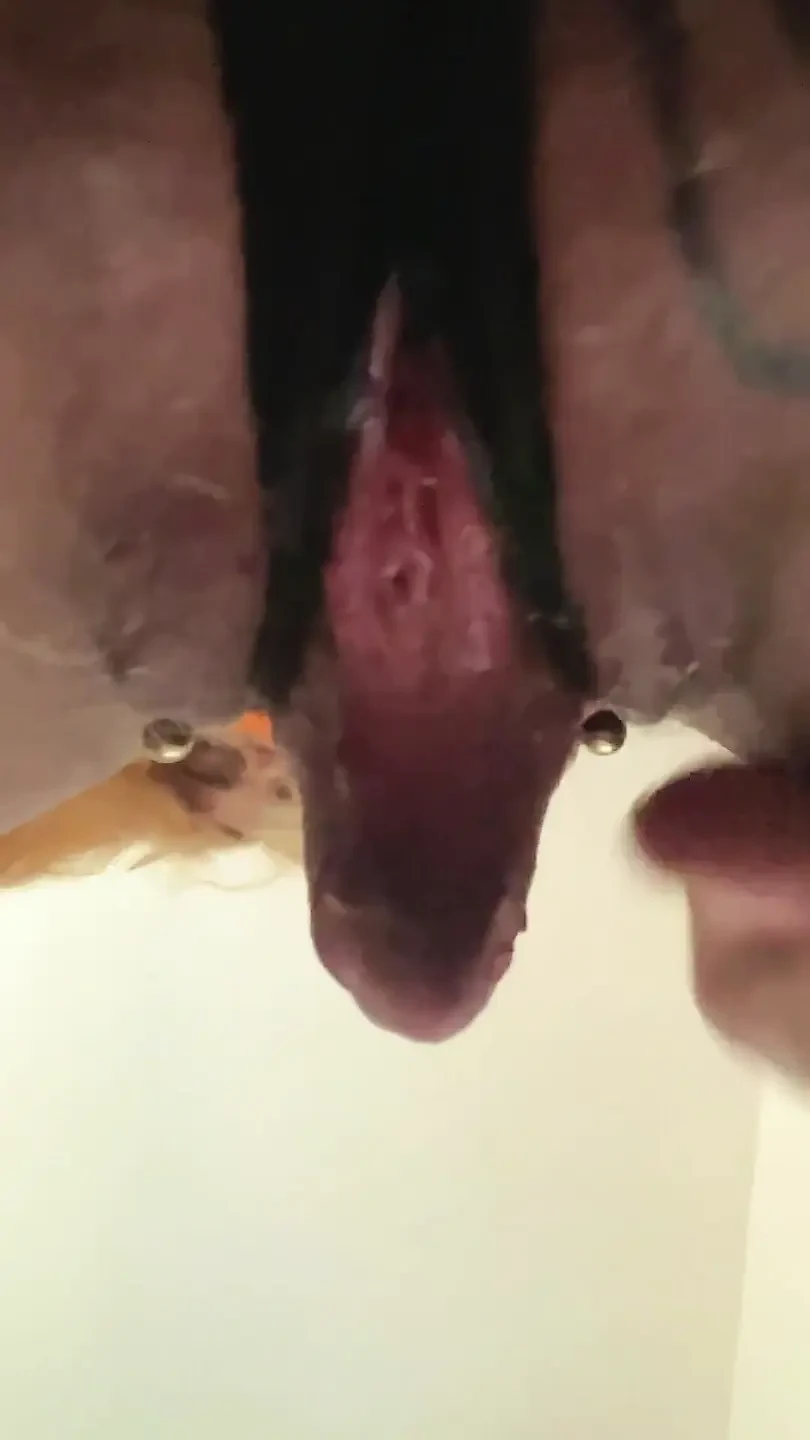 Virtual Face Sitting