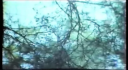 greek porn oi punks ta kanoun ola (1985)