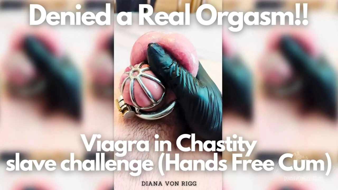 Denied a Real Orgasm!! Viagra in Chastity – slave challenge (Hands Free Cum)
