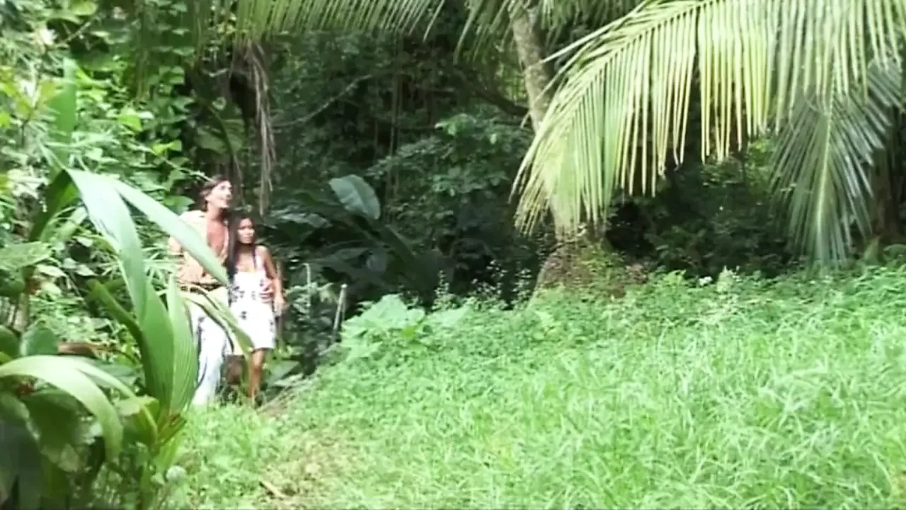 Doctor Max To the Caribbean: a story of white sluts and black cocks