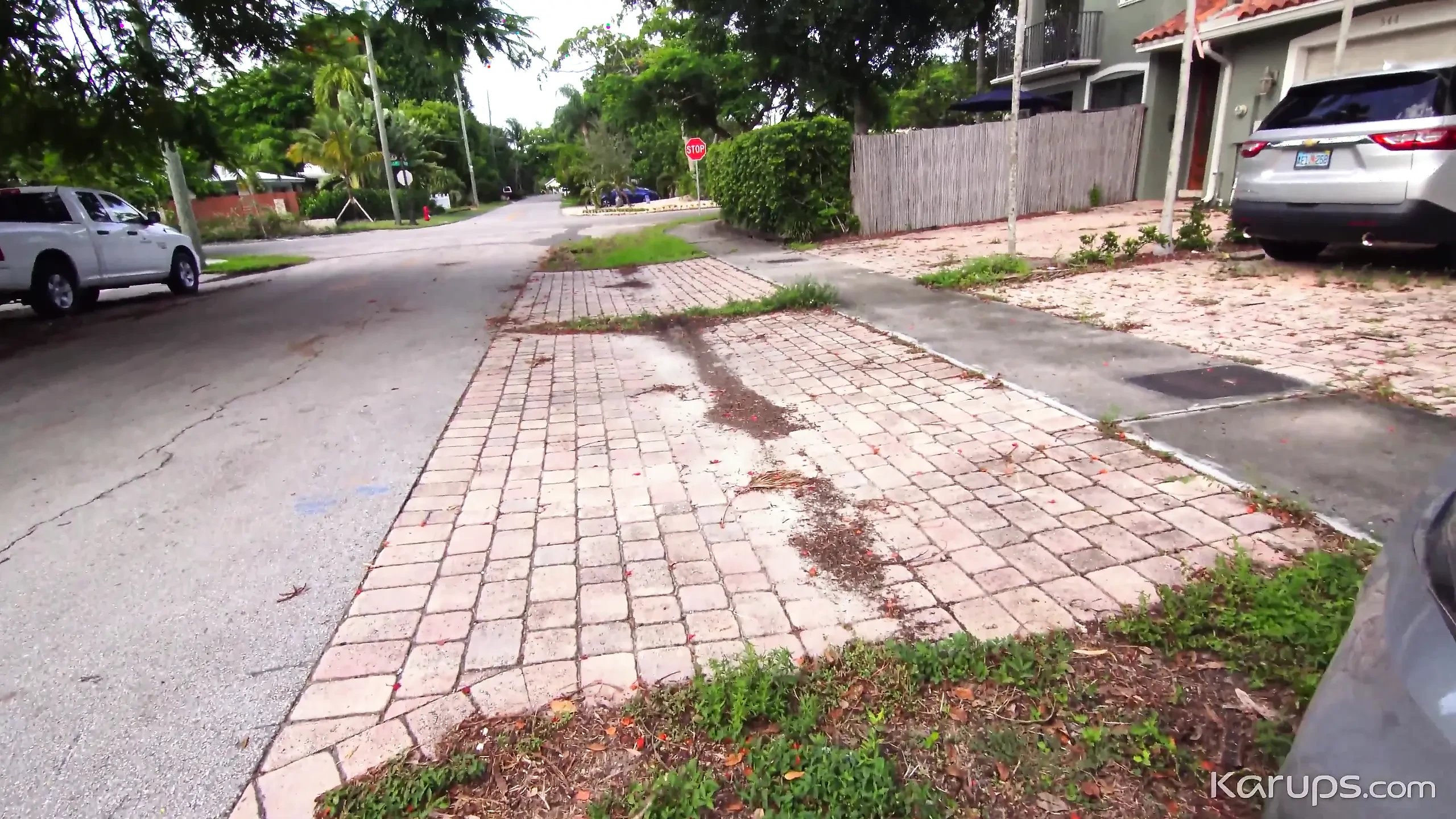 Grateful Little Guest