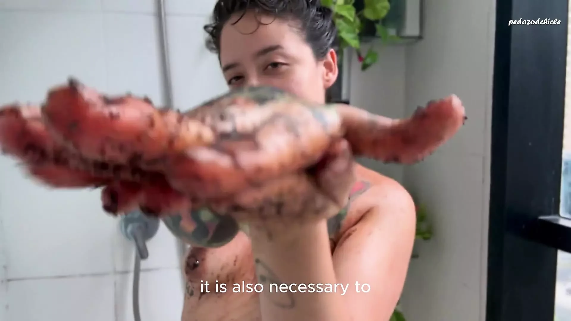 Alternative Girl Give You a Worship to Hairy Armpits