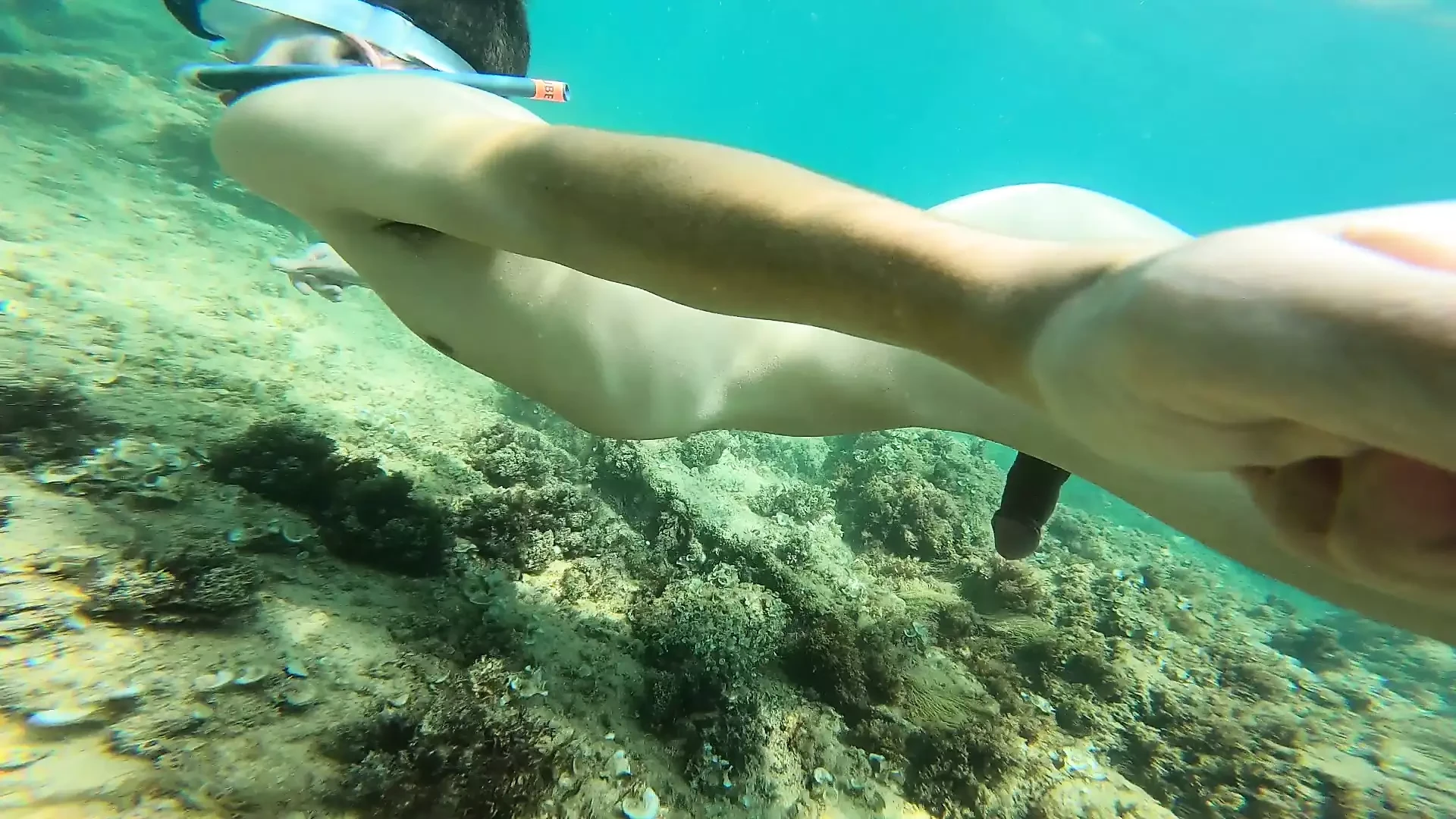 How I scream! Cumming with my selfie stick while snorkeling made me moan screaming like never before