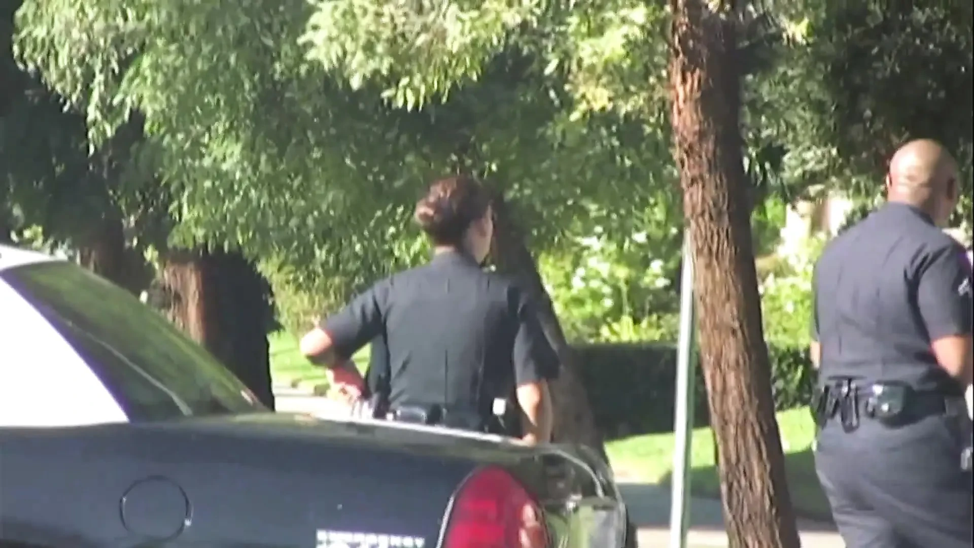 Compilation, Hot Couples, Threesome, Black, Latina