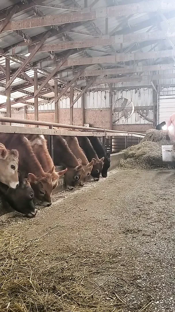 Farmer in short scenes