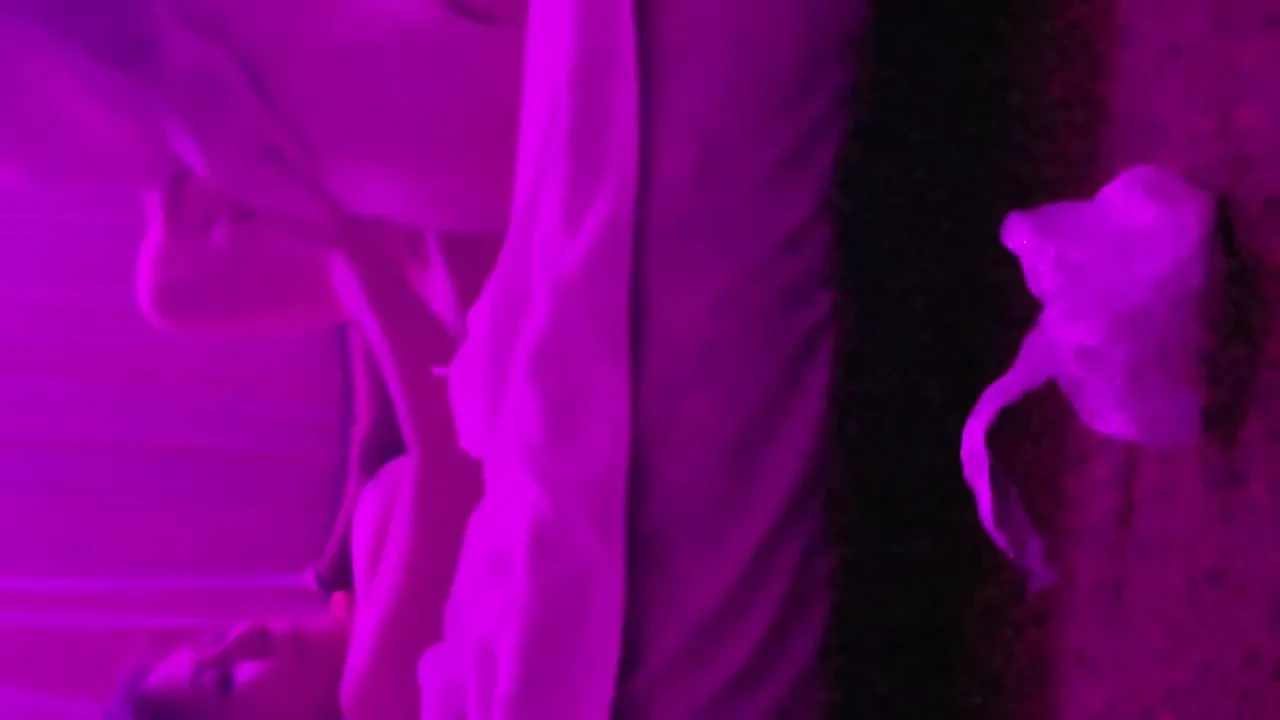 Another massage parlor. Everything but sex. Enjoy!