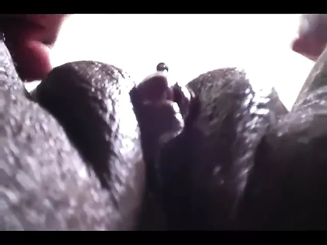 Mommy that big lady stole my earring