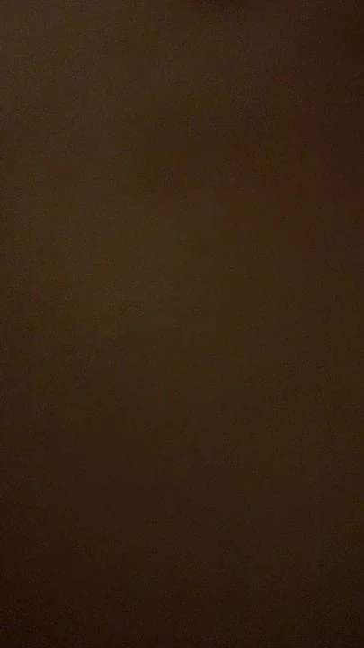 Private Hidden Handycam