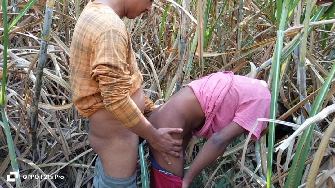 Indian Gay – College Three boys from a small village have sex with a real girl in the fields