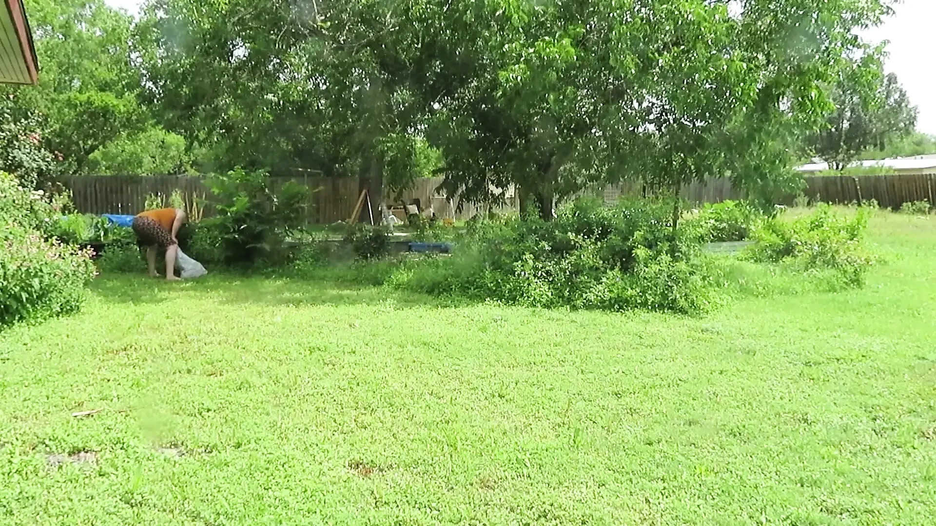 Silly Sissy Slut and Mistress V Hose Play