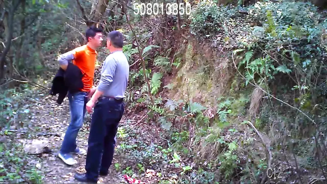 Cruising Gay HJ In The Forest