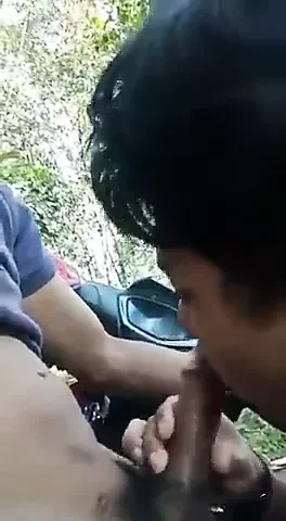 Gay Sex : Gay Indonesian Suck