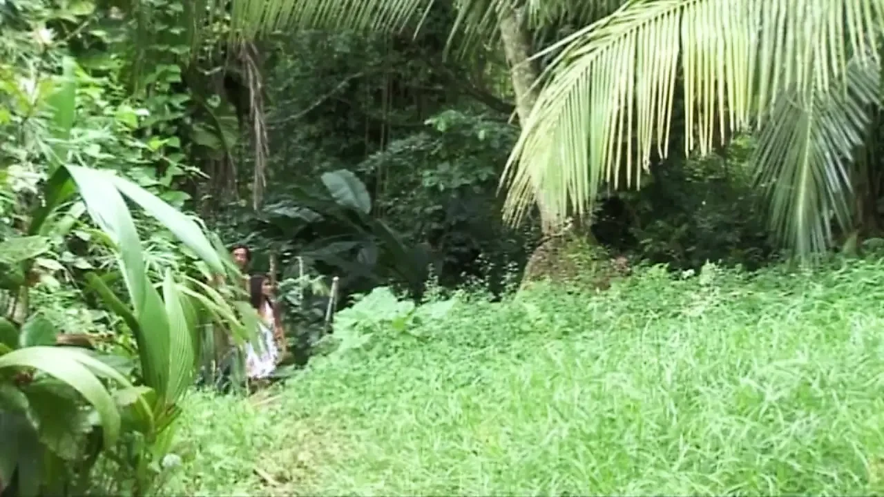 Doctor Max To the Caribbean: a story of white sluts and black cocks