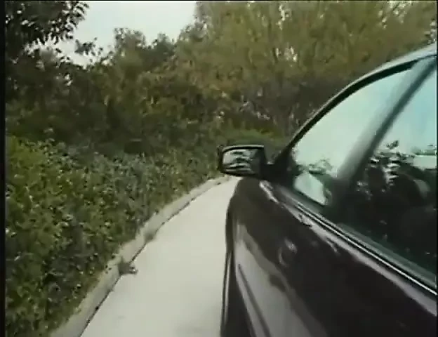 Silvia Saint in Heat (full Movie)