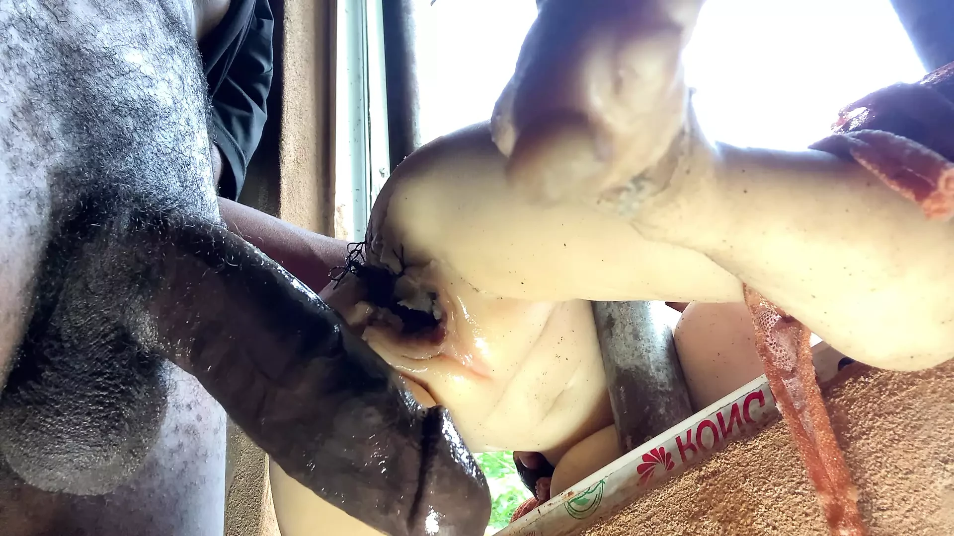 Second Desi Anal sex with Bhabhi