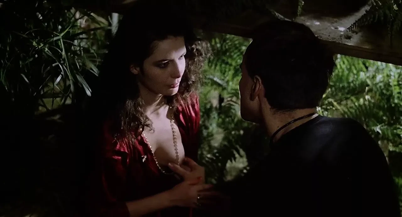 House On The Edge Of The Park (1980)