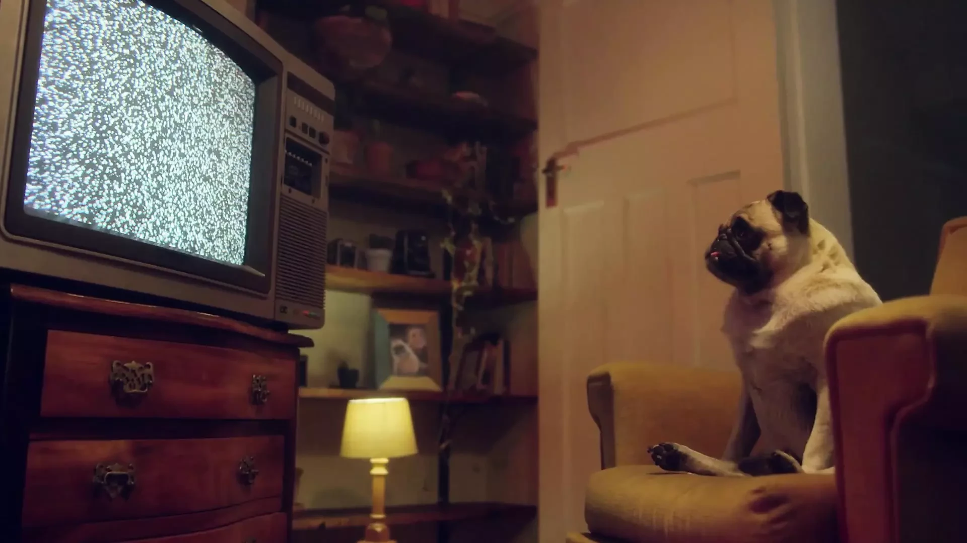 Hot Lesbians – Wild lesbian sex with their favorite toys and no limits – Benefit Monkey