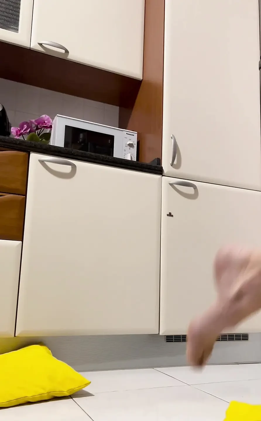 I Am Masturbating in the Kitchen’s Floor